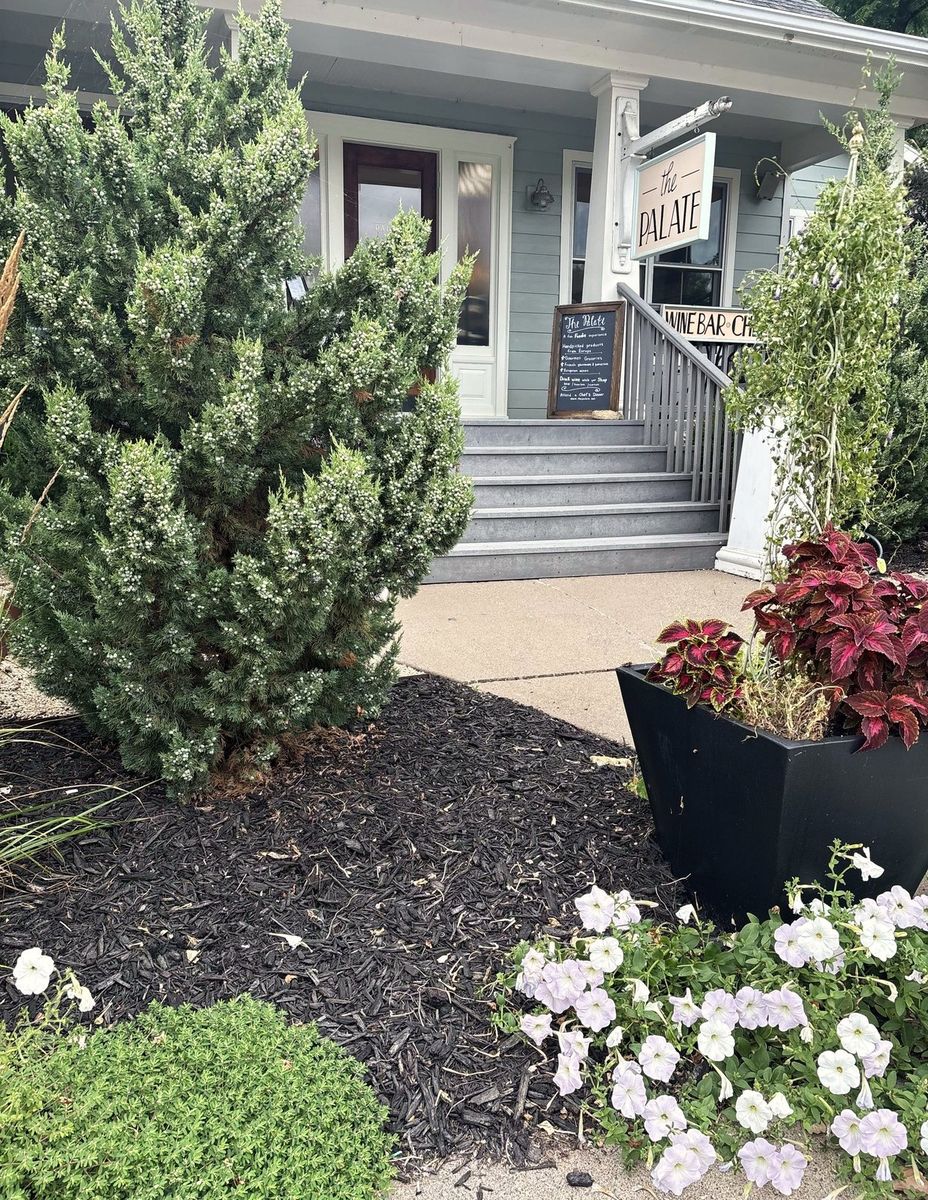A juniper and dark mulch bed with white petunias beside the front steps of The Palate.