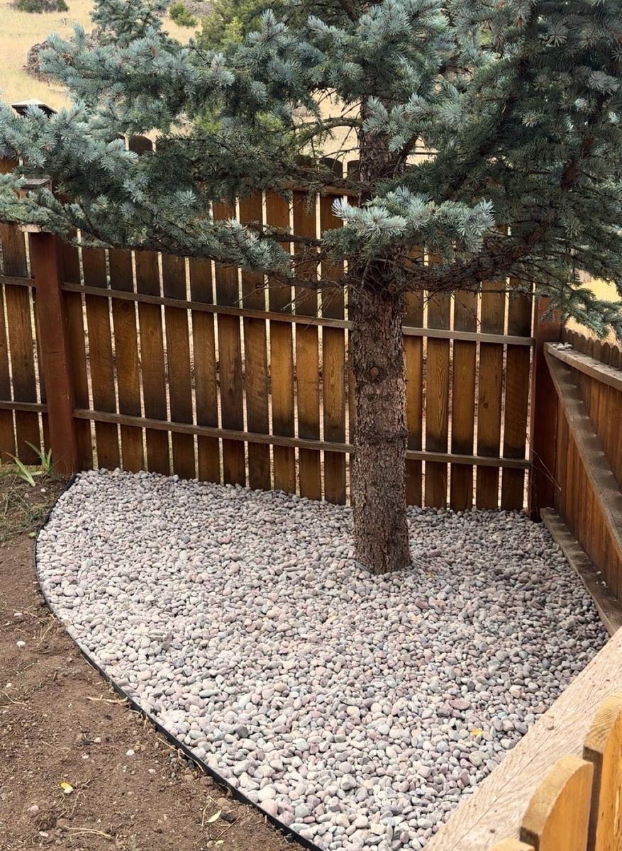 A curved river rock bed with edging laid around the base of a large spruce, against a wooden fence.